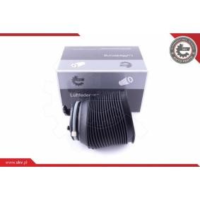 Comprar Muelle neumático, suspensión de ESEN SKV 58SKV005 a bajo precio de 193,42 €