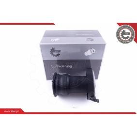 Luftfeder, Fahrwerk 58SKV015