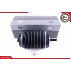 Acquista Molla pneumatica da ESEN SKV 58SKV030 a buon mercato per soli 293,82 €