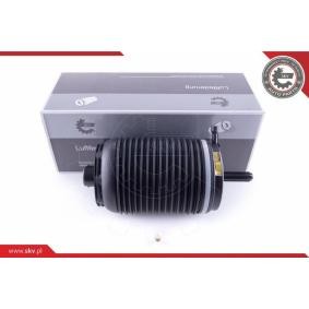 Acquista Molla pneumatica da ESEN SKV 58SKV031 a buon mercato per soli 308,98 €