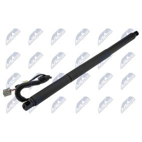 Achetez des Moteur électrique, hayon NTY AE-CH-047 à prix pour 188,53 €