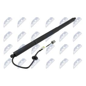 Acquista Ammortizatore pneumatico, Cofano bagagli / vano carico da NTY AE-CH-048 a buon mercato per soli 129,65 €