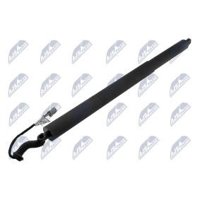 Achetez des Moteur électrique, hayon NTY AE-CH-052 à prix pour 110,63 €