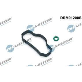 Achetez des Jeu de joints d'étanchéité, couvercle de culasse DR.MOTOR AUTOMOTIVE DRM01200S à prix pour 18,28 €