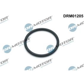 Dichtung, Wasserpumpe DRM01205