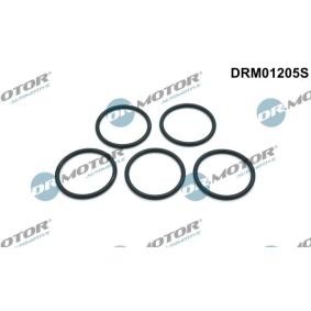 Dichtungssatz, Wasserpumpe DRM01205S