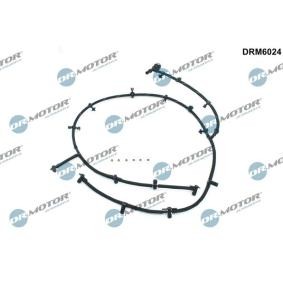 Schlauch, Leckkraftstoff DRM6024
