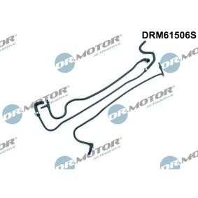 Osta Polttoaineputki DR.MOTOR AUTOMOTIVE:llä DRM61506S edullisesti hintaan 56,55 €