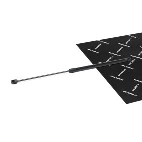 Compre Amortecedor da mala da RIDEX 219G1136 a um preço baixo por 17,29 €