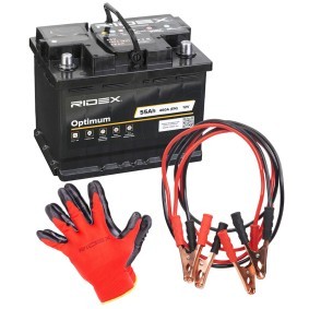 Achetez des Batterie RIDEX 1S0318 à prix pour 54,44 €