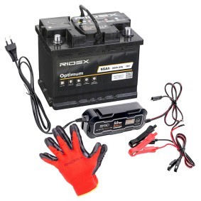 Achetez des Batterie RIDEX 1S0320 à prix pour 147,63 €
