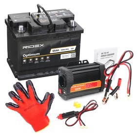 Achetez des Batterie RIDEX 1S0321 à prix pour 123,18 €