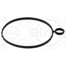 Dichtung, Unterdruckpumpe 038.620