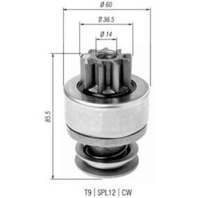 Kühler, Motorkühlung 350213414000