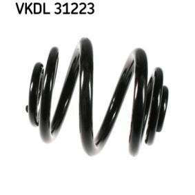 Køb Fjeder af SKF VKDL 31223 til den lave pris 397,59 DKK