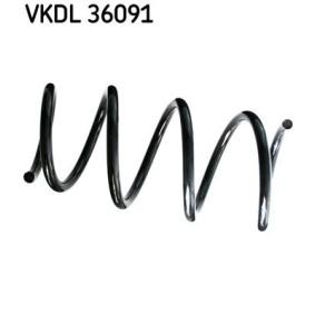 Federn von SKF für Logan Express (US_) günstig online kaufen
