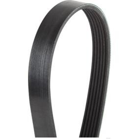 Compre Correia trapezoidal estriada da HERTH+BUSS JAKOPARTS J1062063 a um preço baixo por 19,97 €