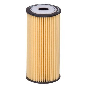 Ölfilter E986H D548 für GENESIS