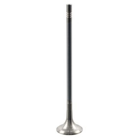 Comprar Válvula de escape de FEBI BILSTEIN 179180 a bajo precio de 16,25 €