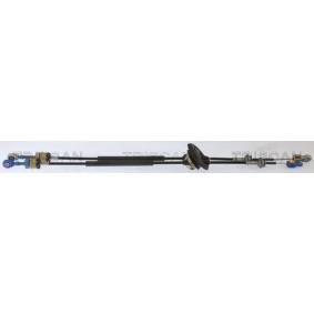 Acquista Cavo cambio da TRISCAN online per C4 II Van / Hatchback (NC_) a prezzi moderati
