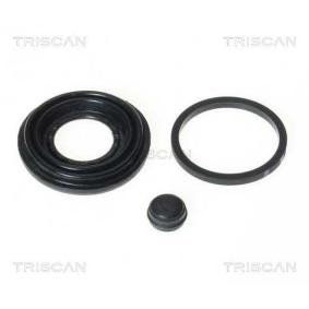 Acquista Guarnizione, Pistoncino pinza freno da TRISCAN 8170 189909 a buon mercato per soli 10,91 €