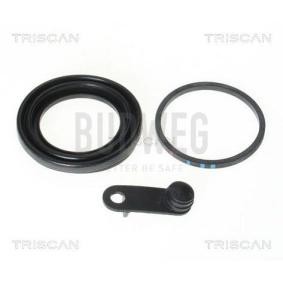 Acquista Guarnizione, Pistoncino pinza freno da TRISCAN 8170 189943 a buon mercato per soli 12,15 €