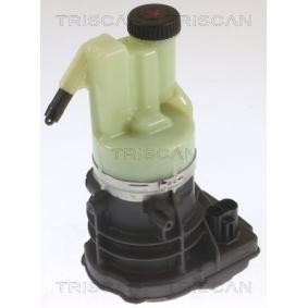 Servopumpe von TRISCAN