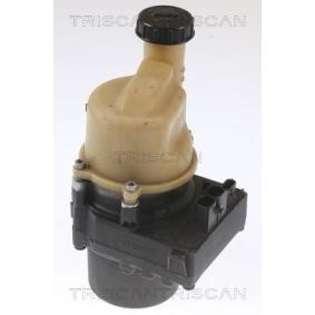 Servopumpe von TRISCAN