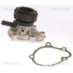 Achetez des Pompe à eau TRISCAN 8600 24058 à prix pour 72,13 €