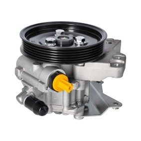 Servopumpe 53-14 631 0006