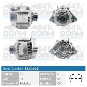 Lichtmaschine 5540494
