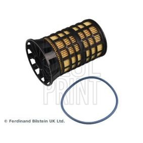 Compre Filtro de combustível de BLUE PRINT online para Movano Mk3 (C) Flatvogn lastebil / Chassis (U9) a preços moderados