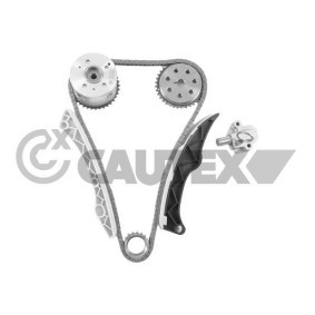 Comprar Kit de cadena de distribución de CAUTEX 772248 a bajo precio de 383,68 €