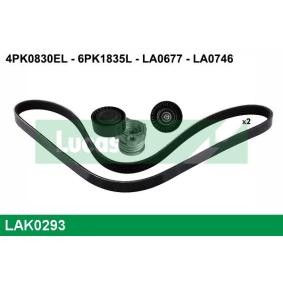 Keilrippenriemensatz LAK0293 für BMW