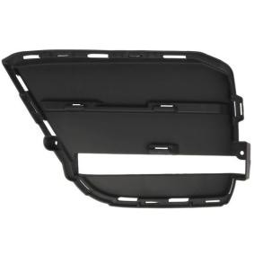 Acquista Griglia paraurti da BLIC 6502-07-5724915P a buon mercato per soli 44,86 €