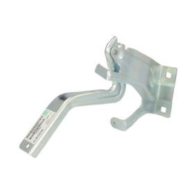 Scharnier, Motorhaube 6802-00-1602453P