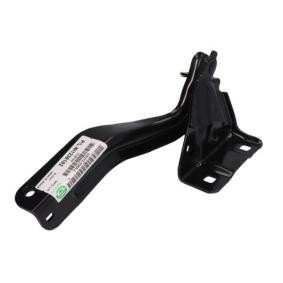 Scharnier, Motorhaube 6802-00-1621451P