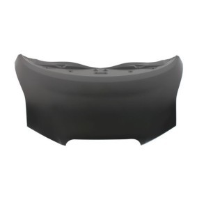 Motorhaube 6803-00-1602280P
