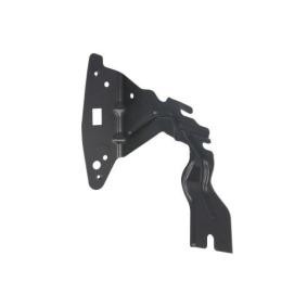 Halter, Kotflügel 7802-03-5028381P