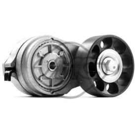 Compre Tensor da correia do alternador de Metalcaucho online para Range Rover I a preços moderados