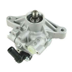 Servopumpe 54345