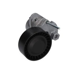 Comprar Tensor de correa poli V de BTA E3W0010BTA a bajo precio de 49,78 €