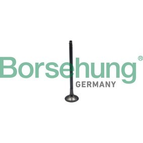 Auslaßventil für BMW von Borsehung