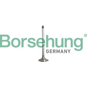 Einlaßventil B10327