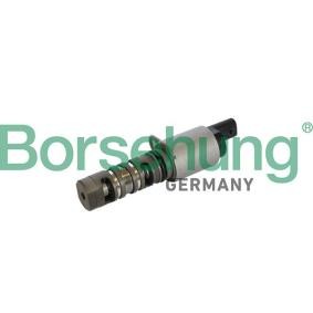 Achetez des Soupape centrale, réglage de l'arbre à cames Borsehung B11866 à prix pour 59,36 €
