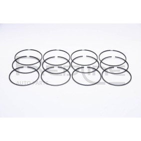 Acquista Kit fasce elastiche da RED-LINE 04MZ016 a buon mercato per soli 88,14 €