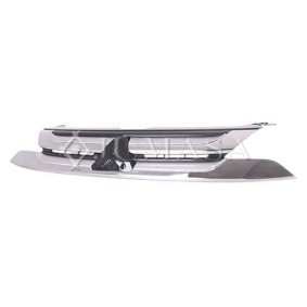 Kühlergrill 21002145
