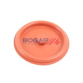 Köp Ventil, vevhusventilation av BOGAP A1116101 till det låga priset 165,83 kr