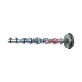Compre Árvore de cames da BOGAP A1331102 a um preço baixo por 510,74 €