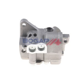 Achetez des Pompe à huile BOGAP A1410120 à prix pour 85,43 €